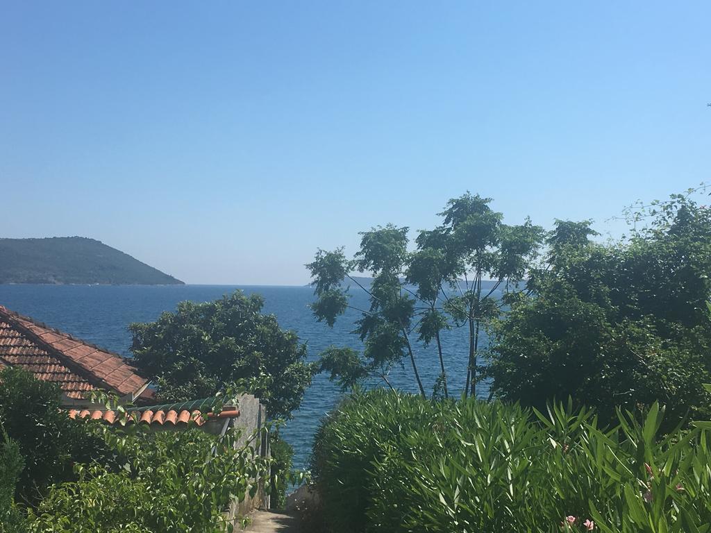 Stijepcic Herceg Novi